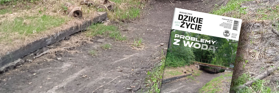 Nowy numer