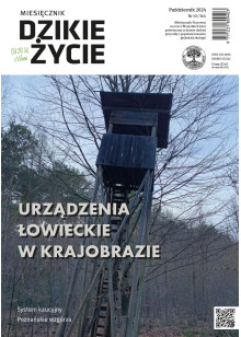 Dzikie Życie 2024, nr 10 (364) październik :: mobi