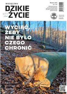 Dzikie Życie 2025, nr 3 (369) marzec :: epub