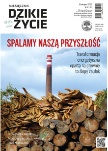 Dzikie Życie 2025, nr 11 (377) listopad Dzikie Życie 2025, nr 11 (377) listopad