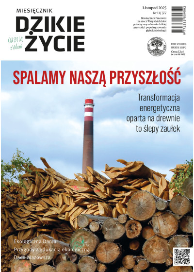Dzikie Życie 2025, nr 11 (377) listopad Dzikie Życie 2025, nr 11 (377) listopad