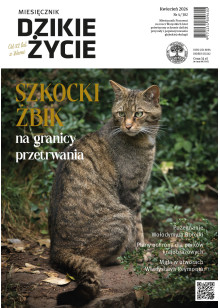 Dzikie Życie 2026, nr 4 (382) kwiecień