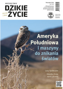 Dzikie Życie 2026, nr 9 (387) wrzesień :: epub Dzikie Życie 2026, nr 9 (387) wrzesień :: epub