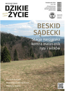 Dzikie Życie 2026, nr 10 (388) październik :: epub